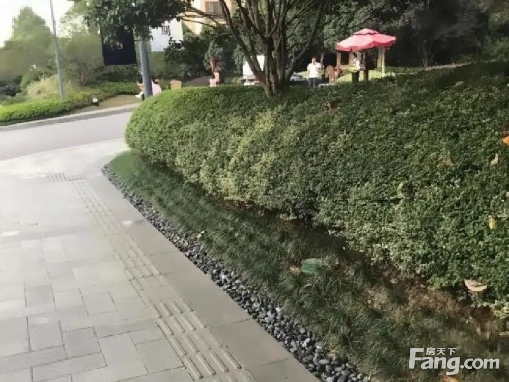 小区相关图