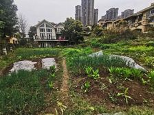 汽博独栋别墅 全采光 单层200多平 带2000多平花园