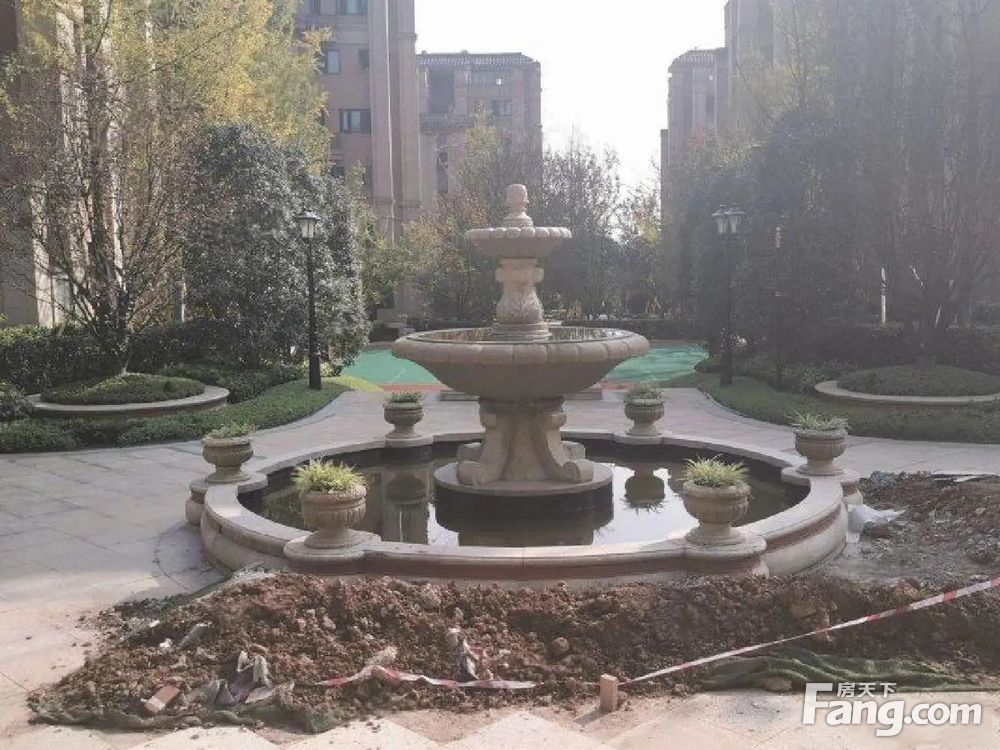 实景图