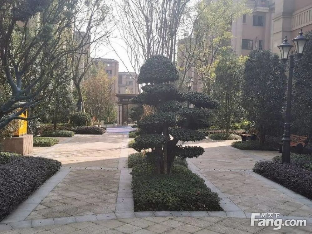 实景图