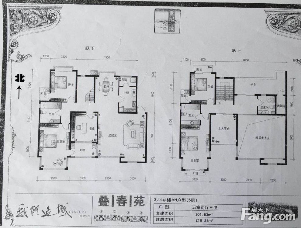 户型图