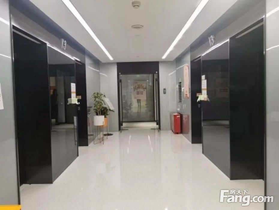 平面图