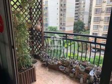 白沙亭江路口 金湾花城 3房2厅 中间楼层 看小区中心花园