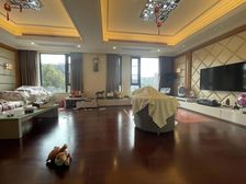 免个税+人车分流+金地上叠+C位置5房设计+精装全送急卖