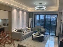 兰亭盛荟 金融城 高层望江 房东已买合同到期 急需过户要名鹅