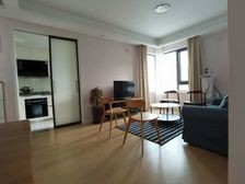 正南前滩东方逸品1室2厅精装修