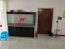 芝兰新城3室2厅2卫南朝向200.0万元/套出售