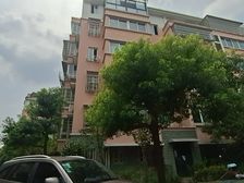 银桂苑明星苑3室2厅1卫南朝向110.0万元/套出售