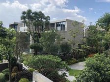 业主急卖 包税 560平5居 南向毛坯 方便看房