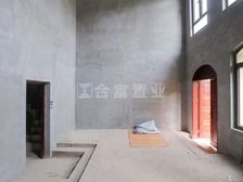 金地天河公馆别墅 毛坯全新未住 产权清晰 满5年 配套成熟