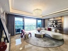 白云新城 西派云峰 东南向望白云山 业主急售!