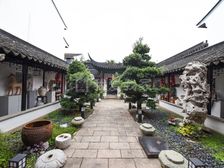 新上桐芳苑里的独栋博物馆苏州园林风格装修