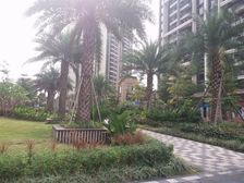 花语水岸 望小区园林 诚心出售 拎包入住 送车位 价格可谈