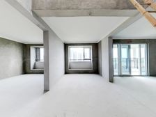 (顶复:带大露台,看江景)维科望江府 186平800万毛坯