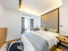 厅卧分离大一室 景观好 全天视野开阔 可用