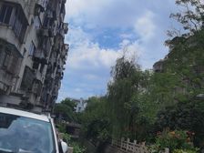 银杏小区1室1厅1卫南朝向138.0万元/套出售