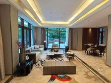 二沙岛新花园别墅 独栋带花园 送车位 使用率高 诚意出售