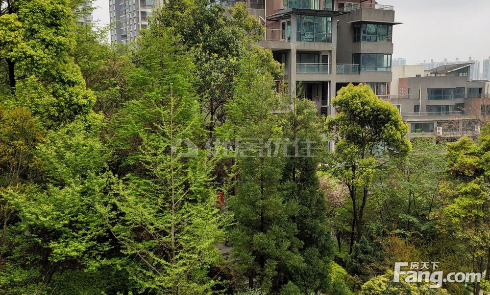 观山湖1号1室1厅精装修带阳台关门卖,贵阳观山湖碧海花园观山湖1号二