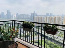 滨江东合生紫龙府 业主诚售 可看江 少有南北对流大房 保养好