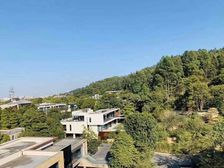 大一山庄 独栋别墅 占地2亩地花园600多方 带大泳池 车库