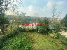 鸳鸯 橡树澜一线临湖独栋 视野无遮挡 花园400