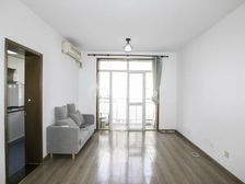 徐汇滨江电梯房!!近地.铁! 南北双阳台 全明通透