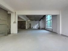 西丽独栋别墅,带私家花园,独立车库,毛坯