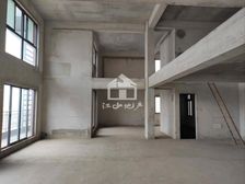 保利山渐青别墅 5房2厅460万