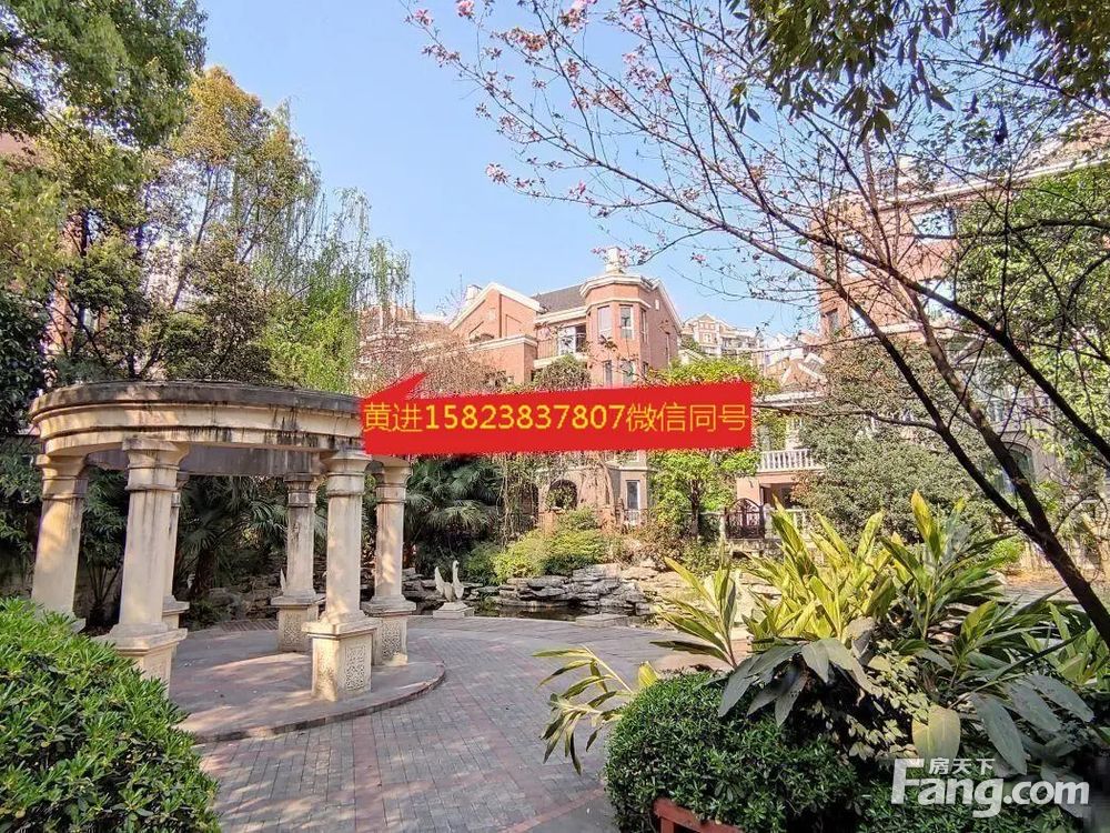 实景图