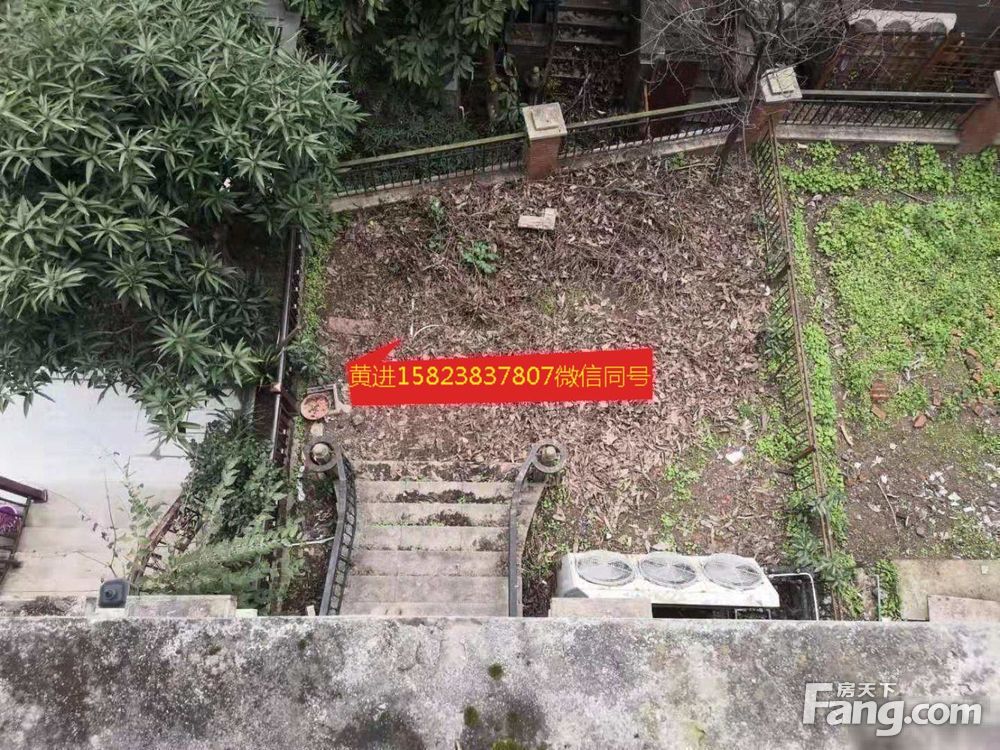 实景图
