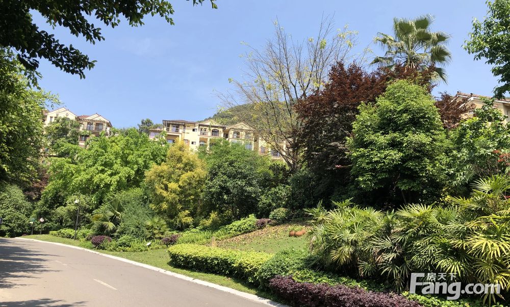联排别墅亏本降价急售蓝光十里蓝山22结构带私家车库