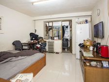 秀水园96年板楼南北通透,一室一厅中间层