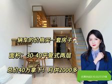 总价38万起买复式2房!一辆车的总价买一套房(湖城大境)