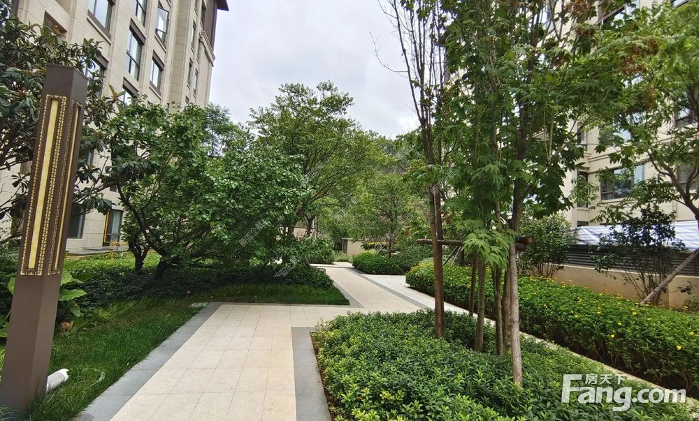 电梯小高层洋房刚交房两年毛坯莲华小书包德润香山府小区