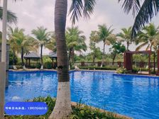 软件园旁 四季康城三期 精装两房 满五 温泉泳池