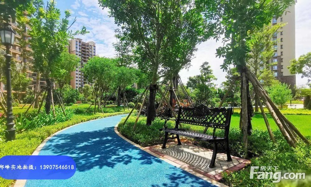 澄迈富力红树湾千亩红树林公园配套一线海景资源度假天堂