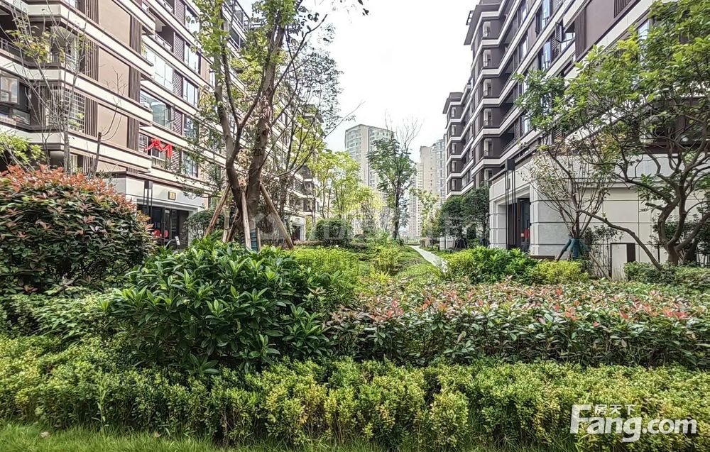 130平 4室 弘阳昕悦府 楼层好 视野无遮挡,重庆璧山绿岛新区弘阳昕