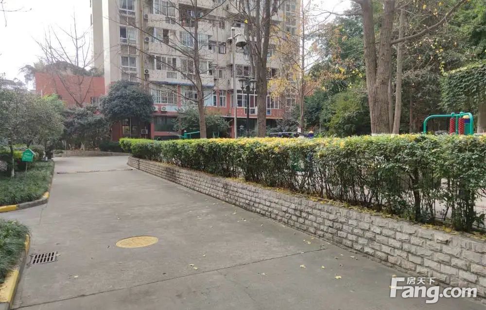 神仙树刚需小户电梯房诚意出售