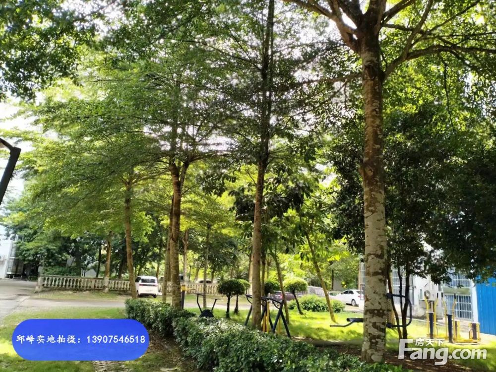 小区相关图