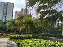 新香缇假日2室2厅 南北通透,海南 技师学院旁环境好