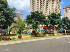 海湾雨林 精装小两房 拎包入住 满五 随时看房