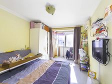 99年小区+1提2户+南北两房朝南带阳台+采光嘎嘎好