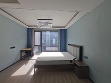 富阳东洲莱蒙水榭山 下叠大花园 精装修未入住 满二无大税