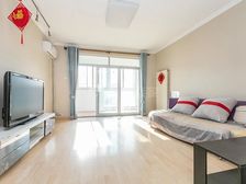 北苑 北京青年城 板楼三居 三面朝南 全明格局 业主诚意出售