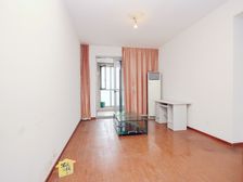 东边套3房 一线江景 高楼层视野好 宝龙旁高新实验