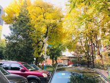 三环内 紫竹院公园 南北通透 全明格局 不临街环境好