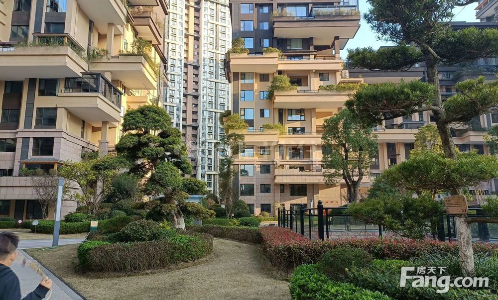 花溪亨特碧桂园顶楼复试带屋顶花园诚心出售