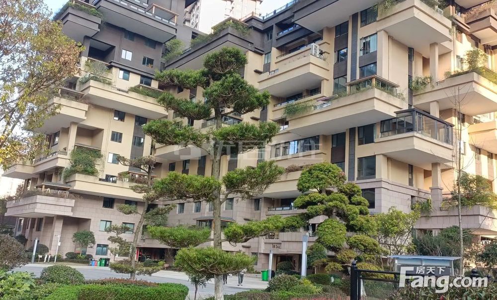 花溪亨特碧桂园顶楼复试带屋顶花园诚心出售