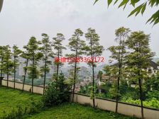 直降300万 尊爵堡临崖法式独栋 花园900平 使用1200