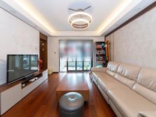 姑苏南门朗诗人民路8号科技住宅,户型房子飞机户型